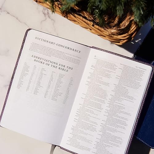 NKJV, Deluxe Gift Bible, Leathersoft, Pink, Red Letter, Comfort Print: Holy Bible, New King James Version thumbnail 6