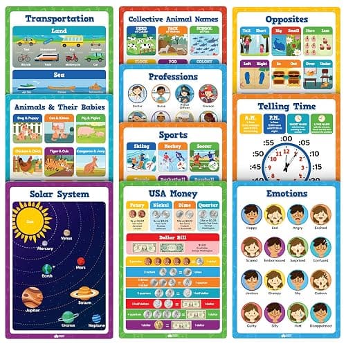 Educational Learning Posters for Toddlers 1-3 - 20pc Classroom Toddler Learning Posters - 16” x 11” Classroom Decor, Back to School Teacher Supplies - Kindergarten Preschool Classroom Must Haves thumbnail 3