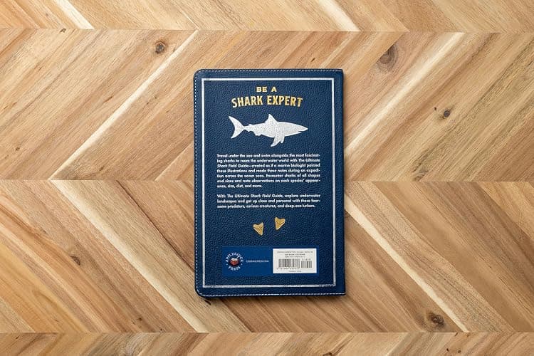 The Ultimate Shark Field Guide: The Ocean Explorer's Handbook (Ultimate Field Guides) thumbnail 4