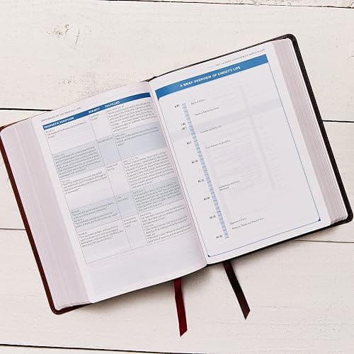 ESV, MacArthur Study Bible, 2nd Edition, Premium Goatskin Leather, Brown, Premier Collection: Unleashing God's Truth One Verse at a Time thumbnail 6