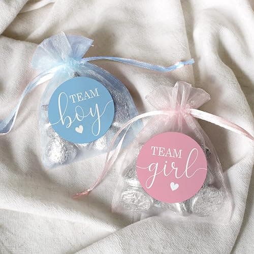 Pink or Blue Gender Reveal Party - Team Boy or Team Girl Stickers - 40 Count thumbnail 3