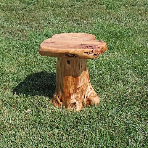 WELLAND Natural Cedar Stump Stool, 14" End Table, Live Edge Side Table, Plant Stand, Small Nightstand, Mushroom Stool for Living Room, Bedroom, Patio, Garden thumbnail 9