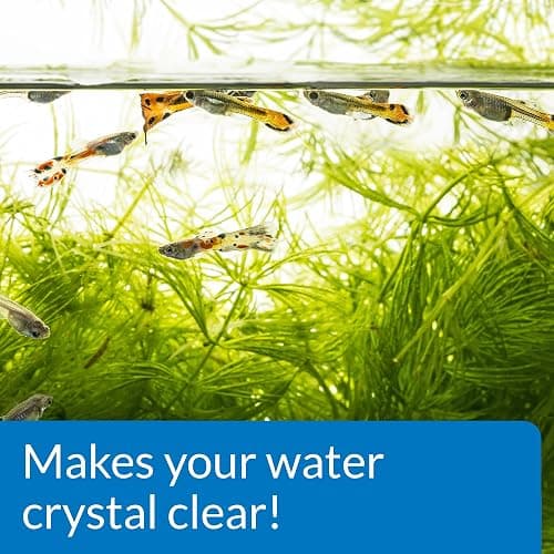 Aqua clear thumbnail 6