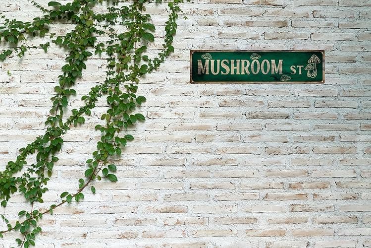 Vintage Tin Sign Retro Metal Mushroom St Signs Stylish Wall Art Plaques for Home Decor Bathroom Kitchen House and Gothic Wall Decor or as a Unique Poster 16x4 in - Mushroom St thumbnail 6