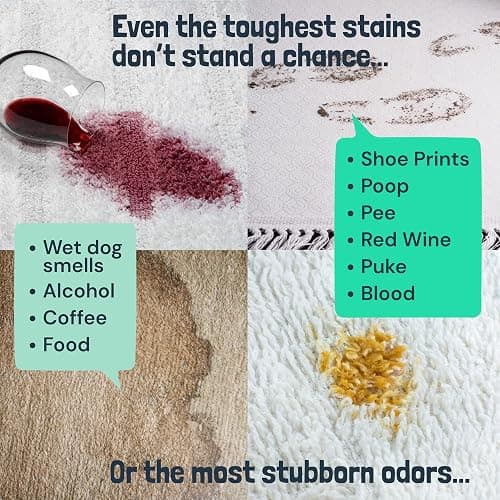 Sunny & Honey Carpet Cleaner Shampoo Solution for Machines, 32floz Mint | USA Made - Stain and Odor Eliminator - Cleans Carpets and Upholstery - For Upright and Spot Cleaners - Concentrated Formula thumbnail 5
