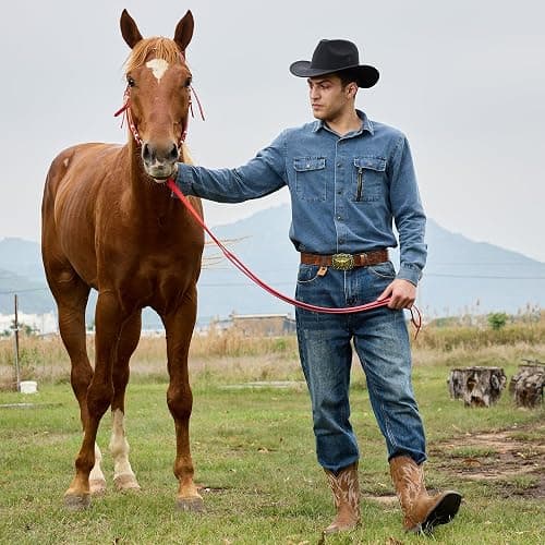 IUV Cowboy Boots For Men Western Ostrich Wide Durable Fashionable Embroidered Pull On Slip Resistant Assorted Colors Boots thumbnail 3