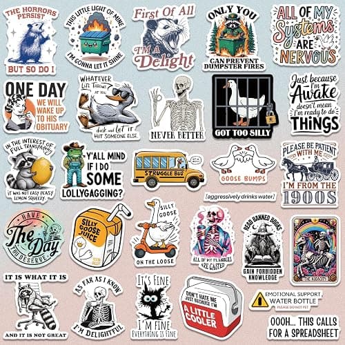 200 PCS Funny Holographic Stickers for Adults, Waterproof Vinyl Sarcastic Meme Decals for Laptop, Water Bottle, Phone, Kindle, Journal, Scrapbook, Bumper, Skateboard, Luggage, No Repeats thumbnail 3