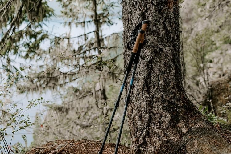 Cascade Mountain Tech Trekking Poles - Carbon Fiber Walking or Hiking Sticks with Quick Adjustable Locks thumbnail 9