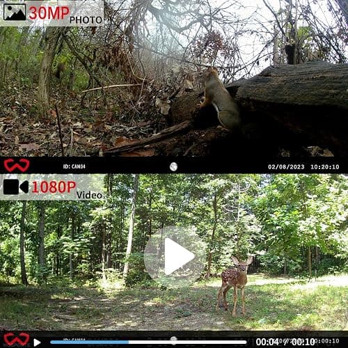 WOSODA Mini Trail Camera 4 Pack 30MP 1080P HD, Game Cam with SD Card, Waterproof Tiny Deer Camera Night Vision Motion Activated with Fast Trigger Time for Outdoor Wildlife Monitoring thumbnail 2