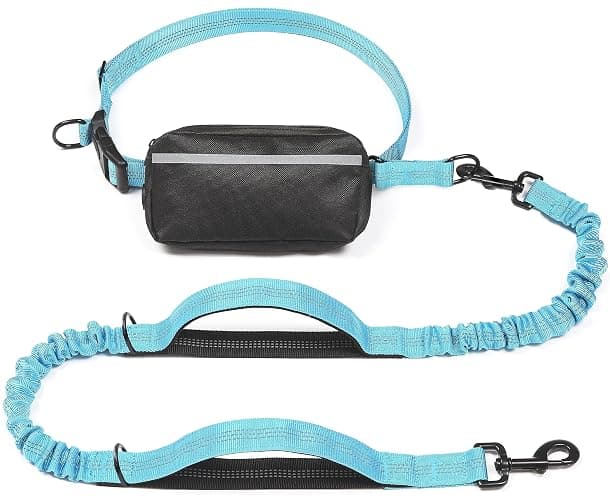 iYoShop Hands Free Dog Leash with Zipper Pouch, Dual Padded Handles and Durable Bungee for Walking, Jogging and Running Your Dog (Large, 25-120 lbs, Blue) - Image 1