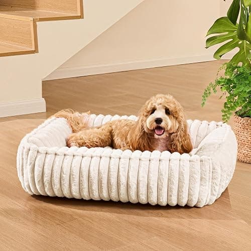 Jolifield Orthopedic Large Dog Bed Calming Pet Sofa Bed 36''x28'' Ivory | Rectangle Plush Orthopedic Dog Couch Large Sized Dogs,Anti-Anxiety, Nonskid Bottom, Washable Soft Puppy Cuddler Up To 50 Lbs thumbnail 2