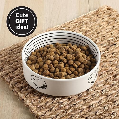 Peanuts Snoopy Dog Bowl with Bone Design – 6.5" Stoneware Water or Food Bowl for Small to Medium Dogs – Cute Cartoon Pet Dish, Durable & Easy to Clean thumbnail 6