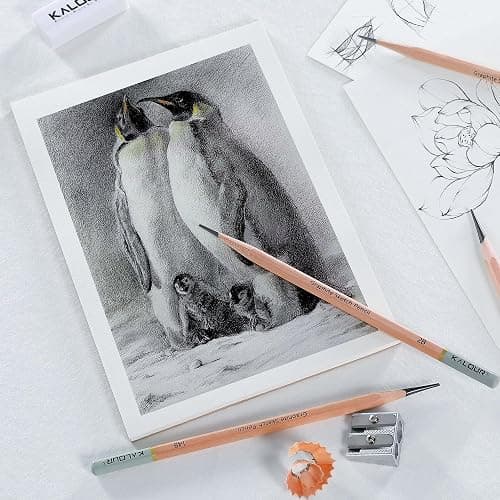 KALOUR 18-Piece Professional Sketch Pencil Set - Includes 5H to 14B Pencils, Vinyl Eraser, Kneaded Eraser,Sharpener and Paper Blending Stump - Ideal for Artists and Beginners thumbnail 2