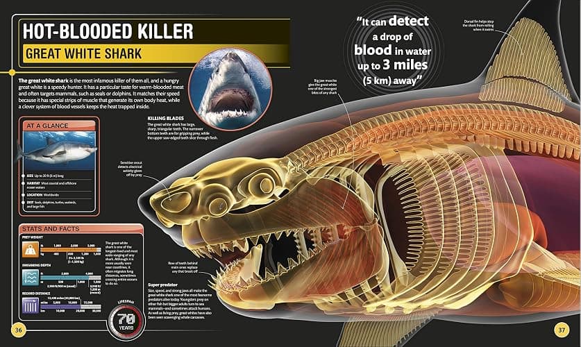 Super Shark Encyclopedia: And Other Creatures of the Deep (DK Super Nature Encyclopedias) thumbnail 9