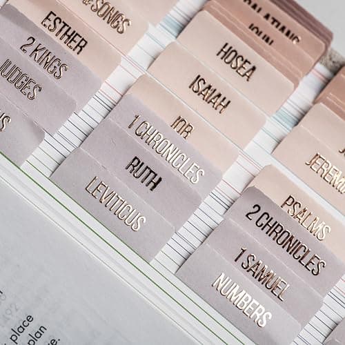 DiverseBee Laminated Bible Tabs (Rose Gold Embossed Lettering), Bible Journaling Supplies, Bible Book Tabs, Christian Gift, 73 Bible Tabs for Women and Men, Includes 4 Blank Tabs (Pearl) - Image 1