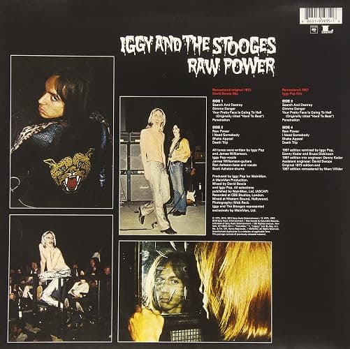 Raw Power thumbnail 2