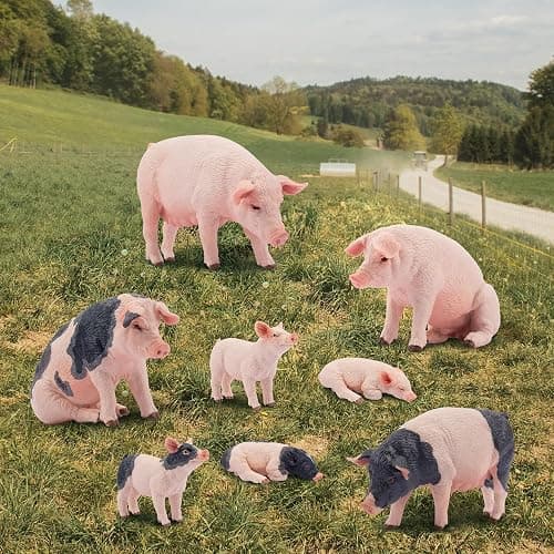 Toymany 8PCS Realistic Pig Figurines Set, Plastic Pig Figures Farm Animals Toys, Birthday Christmas Toy Gift for Kids Toddlers thumbnail 2