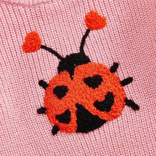 Toddler Girl Ladybug Sweaters Long Sleeve Embroidery Ladybird Jumpers Knit Pullover Tops Infant Baby Valentines Outfit thumbnail 6