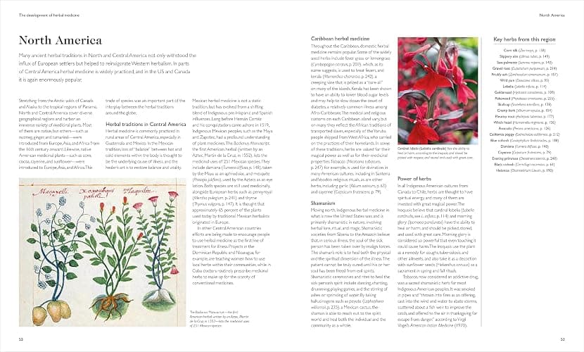 Encyclopedia of Herbal Medicine New Edition: 560 Herbs and Remedies for Common Ailments thumbnail 4