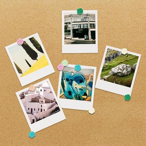 Push Pins for Cork Board - Cuttte 30pcs Decorative Push Pins with Case, Cute Thumb Tacks and Pushpins for Bulletin Board, 6 Colors Flower Pushpins thumbnail 2