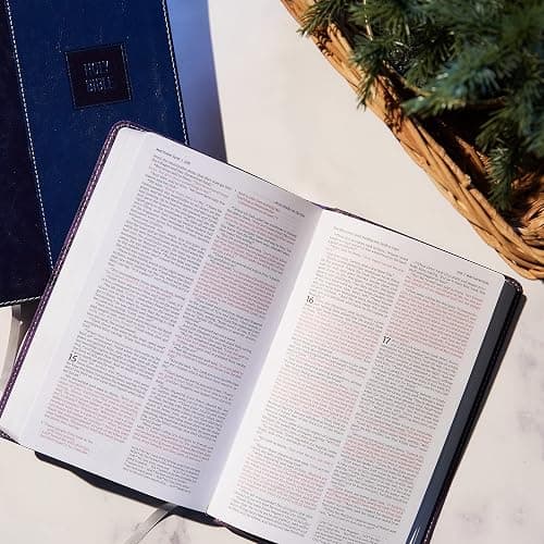 NKJV, Deluxe Gift Bible, Leathersoft, Pink, Red Letter, Comfort Print: Holy Bible, New King James Version thumbnail 4