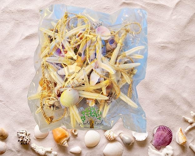 Beach Garland Seashell & 12 Pc Real Starfish Garland 10ft+ (120"), Coastal Christmas Decor, Nautical Decor, Beach Theme Party Decorations,Starfish Christmas Decorations (Starfish w/Shells Garland) thumbnail 5