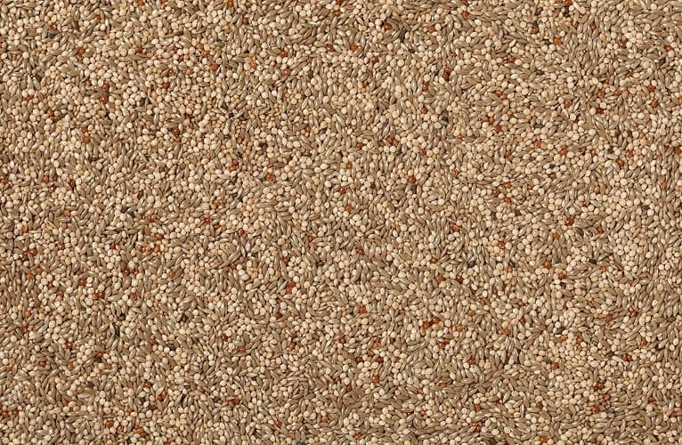 Johnston & Jeff 1kg Expert Budgerigar Seed Mixed Budgie Aviary Bird Seed thumbnail 2