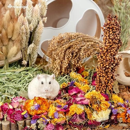 Niteangel Natural & Soft Hamster Bedding for Syrian Dwarf Hamsters Gerbils Mice Degus Bunny or Other Small-Sized Pet (Flowers Scent Path) thumbnail 6