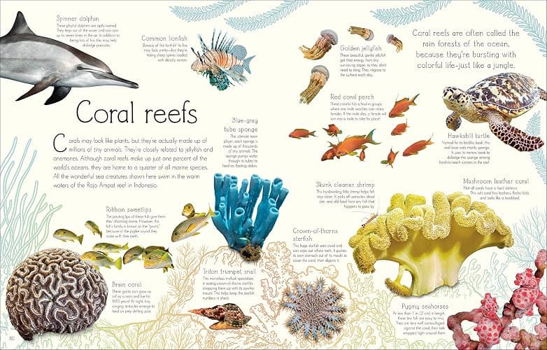 An Anthology of Aquatic Life thumbnail 3