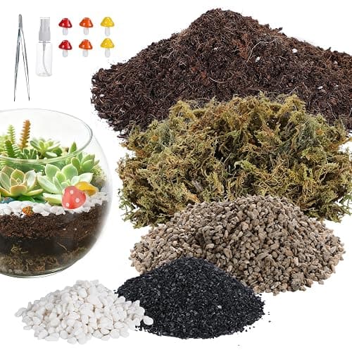 Terrarium Kit Adults - Includes Pumice, Moss, Soil, Pebbles, Charcoal, 2 Tools, Mushroom Ornaments for Succulent Cactus, Christmas Terrarium Accessories Decor Gifts for Starter Women - Image 1