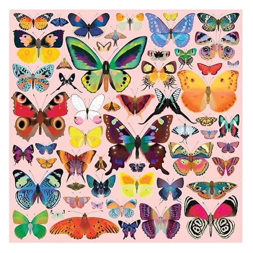 Mudpuppy Brilliant Butterflies – 500 Piece Family Jigsaw Puzzle with Colorful and Fun Illustrations of Beautiful Butterflies for Children Ages 8 and Up thumbnail 2