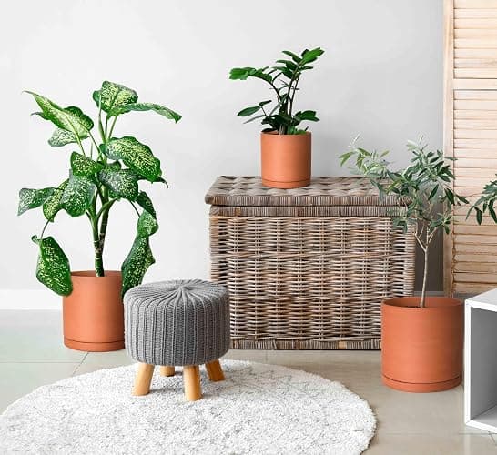 D'vine Dev Terracotta Pots for Plants, 6.5 Inch 8.3 Inch 10 Inch, Round Cylinder Planter Pot with Drainage and Saucer, 40-T-C-0 thumbnail 2