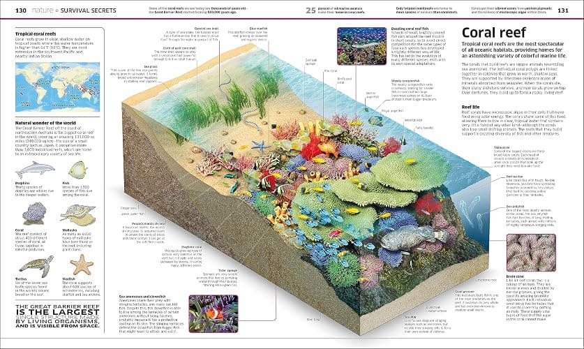 Knowledge Encyclopedia: The World as You've Never Seen it Before thumbnail 3