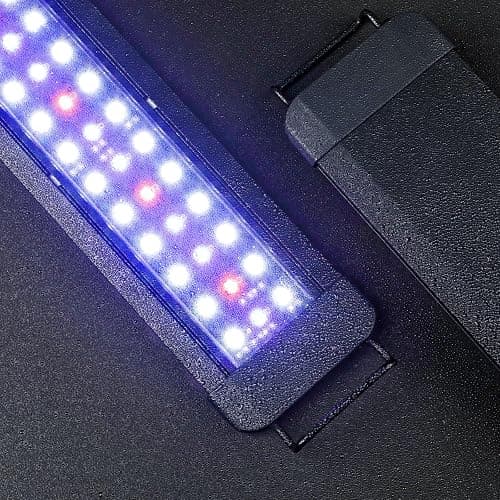 Pawfly 11W Aquarium LED Light for 12 to 18 Inch Fish Tanks Extendable Fish Tank Light with Full Spectrum Brilliant White Blue Red Lights with Daytime & Night Modes and Adjustable Brightness thumbnail 9