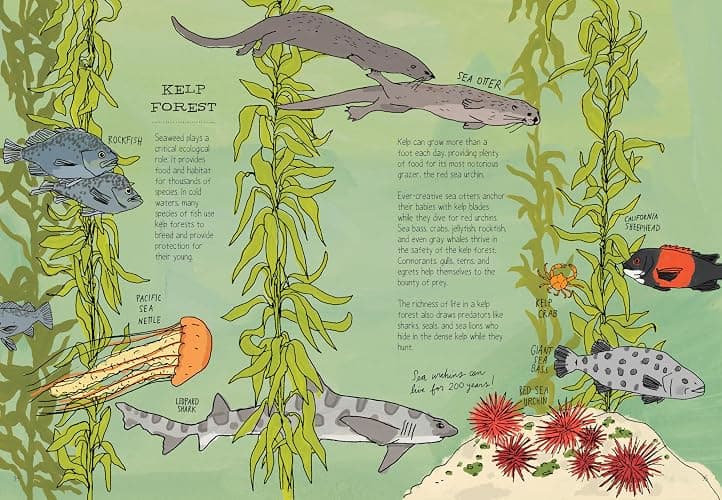 Ocean Anatomy: The Curious Parts & Pieces of the World under the Sea thumbnail 6