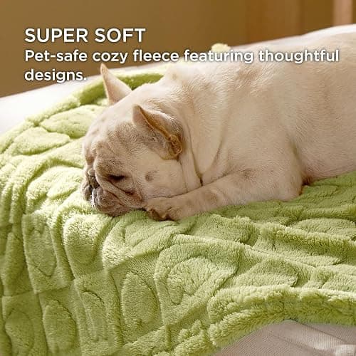 Bedsure Dog Blanket for Small Dogs Washable - Fluffy Fuzzy Puppy Cat Blanket with Premium 300GSM Coral Fleece Soft for Pet Kitten Doggy, Green, 25x35IN thumbnail 3