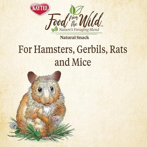 Kaytee Food, Small Pet Snack | Natural | For Rodents | 2 Ounces | Pack of 2 thumbnail 5