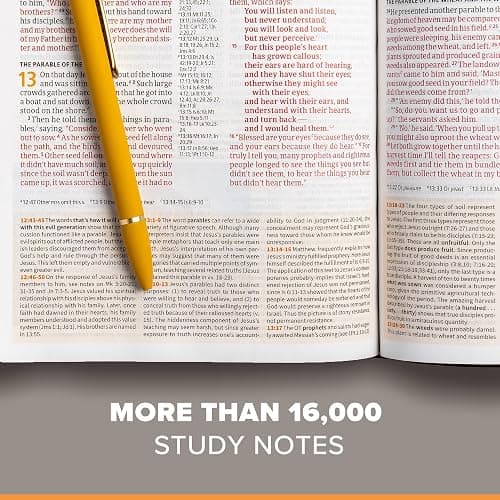CSB Study Bible, Brown Genuine Leather, Indexed, Red Letter, Study Notes and Commentary, Illustrations, Articles, Word Studies, Outlines, Timelines, Easy-to-Read Bible Serif Type thumbnail 3
