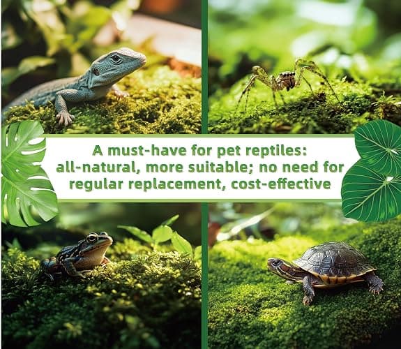 LUCKY PLANT Live Moss for Reptiles - Terrarium Moss for Reptiles Peat Moss for Reptiles Habitat Bedding Moss for Snakes Turtle Frog Gecko and Other Reptiles Substrate 50 Square inches Live Moss thumbnail 3