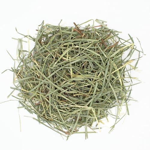 Oxbow Orchard Grass Hay for Small Pets – All-Natural Long Strand Fiber Hay for Rabbits, Guinea Pigs, Chinchillas, and Hamsters – Supports Digestive Health and Enrichment – 40 oz Bag thumbnail 7