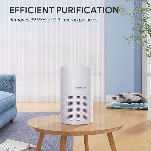 Air Purifiers for Bedroom, FULMINARE H13 True HEPA Filter | Remove Pet Hair, Smoke, Odors，Quiet Air Cleaner With Night Light, Portable Small Air Purifier for Home, Office, Living Room thumbnail 7