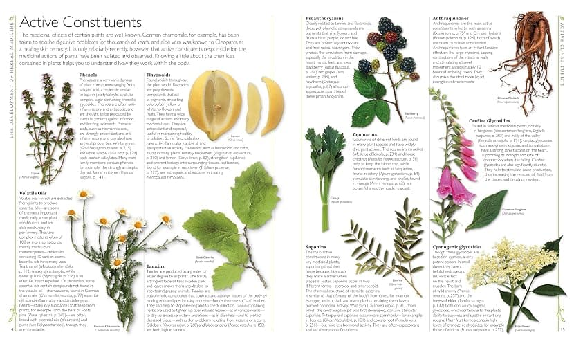DK Encyclopedia of Herbal Medicine: 550 Herbs Loose Leaves and Remedies for Common Ailments thumbnail 3