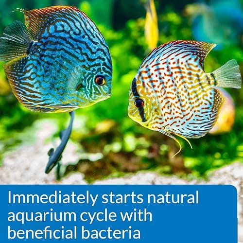 API QUICK START Freshwater and Saltwater Aquarium Nitrifying Bacteria 4-Ounce Bottle thumbnail 3