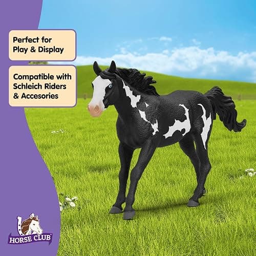 Schleich Horse Club - 7" Paint Horse Gelding - Collectable, Realistic Toy Horse Figurine for Girls and Boys - Durable, Educational Figure for Fun Imaginative Play - Kids Toys Ages 5+ | 14900 thumbnail 5