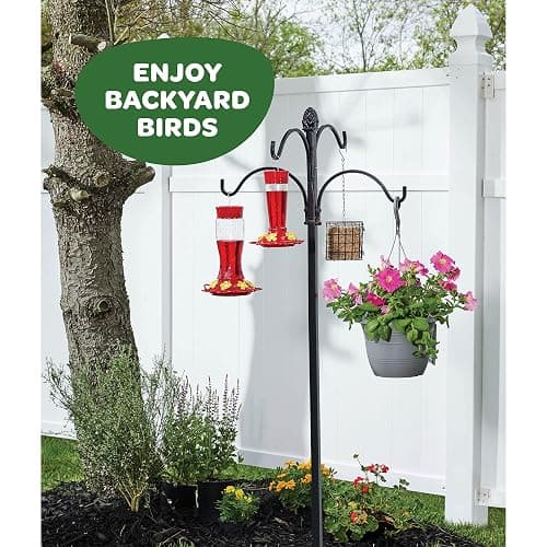 Hummingbird Feeder 10 oz Glass Hummingbird Feeders for Outdoors, with Built-in Ant Guard - Circular Perch with 5 Feeding Ports - Wide Mouth for Easy Filling/2 Part Base for Easy Cleaning thumbnail 7