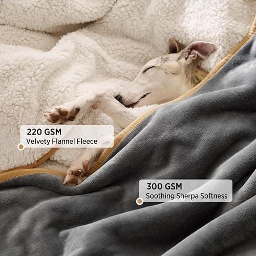 LE SURE Waterproof Dog Blanket Washable - 100x80cm Fleece Pet Blanket For Medium Dogs and Cats, Personalised Kitten Throw Protects Bed and Sofa with Soft Plush, Grey thumbnail 3