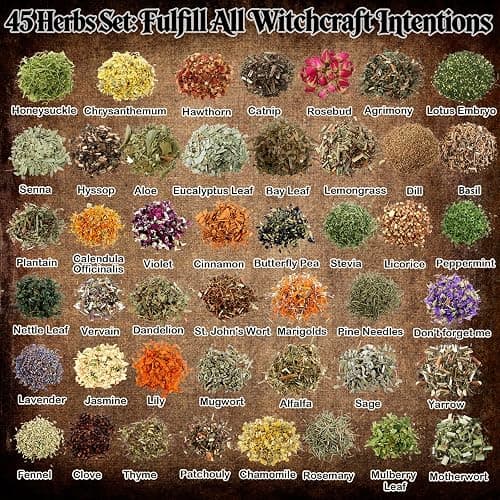 45PCS Herbs for Witchcraft - Wiccan Supplies and Tools - Witchcraft Supplies Dried Flowers Kit for Witch Beginner, Wicca Altar Supplies, Magic Spell, with Witchy Spoon, Witchy Gifts for Women thumbnail 2