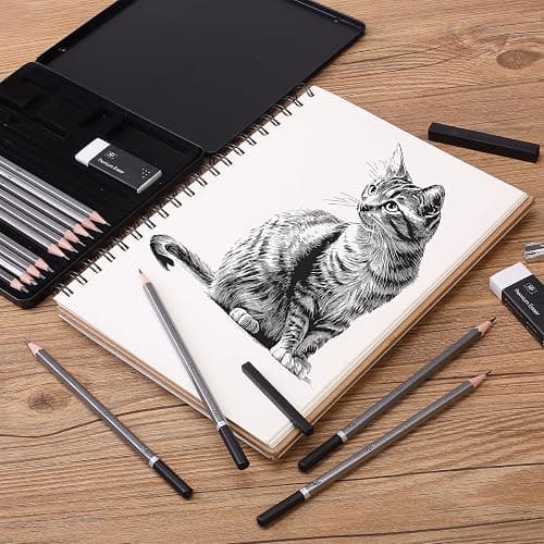 Mr. Pen- Sketch Pencils for Drawing, 19 Pcs, With Graphite Sticks, Erasers and Sharpener, Art Pencils for Sketching thumbnail 2