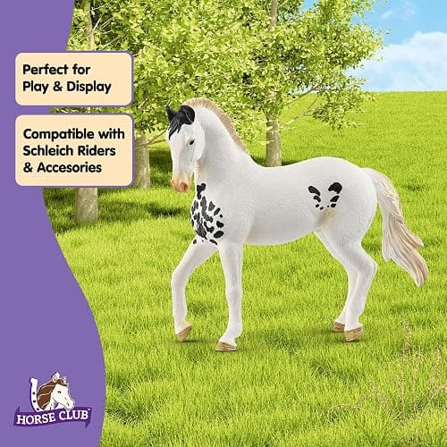 Schleich HORSE CLUB - Marwari Stallion - 5" Hand-Painted Collectable, Realistic Toy Horse Figurine for Girls and Boys. Durable Educational Figure for Fun Imaginative Play. Cool Kids Toys Ages 5+ 14898 | Detailed horse, decorative and collectible figure, great gift for girls and boys thumbnail 5