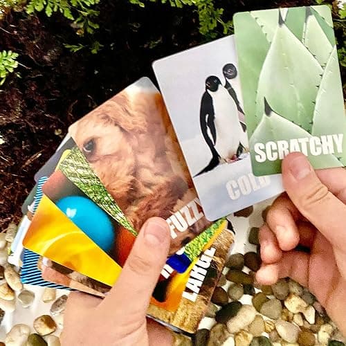 Hapinest Find and Seek Scavenger Hunt Card Game thumbnail 4